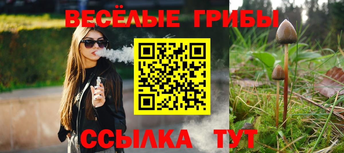 Волжский  Псилоцибиновые грибы MAGIC MUSHROOMS  Галлюциногенные грибы Cubensis  Вход с VPN 